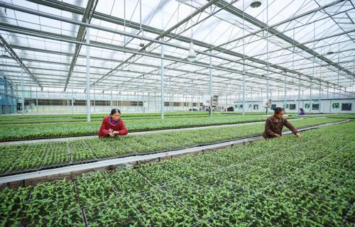 库克再次访问北京苹果CEO行程引关注